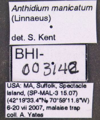 Media type: image;   Entomology 610798 Aspect: labels